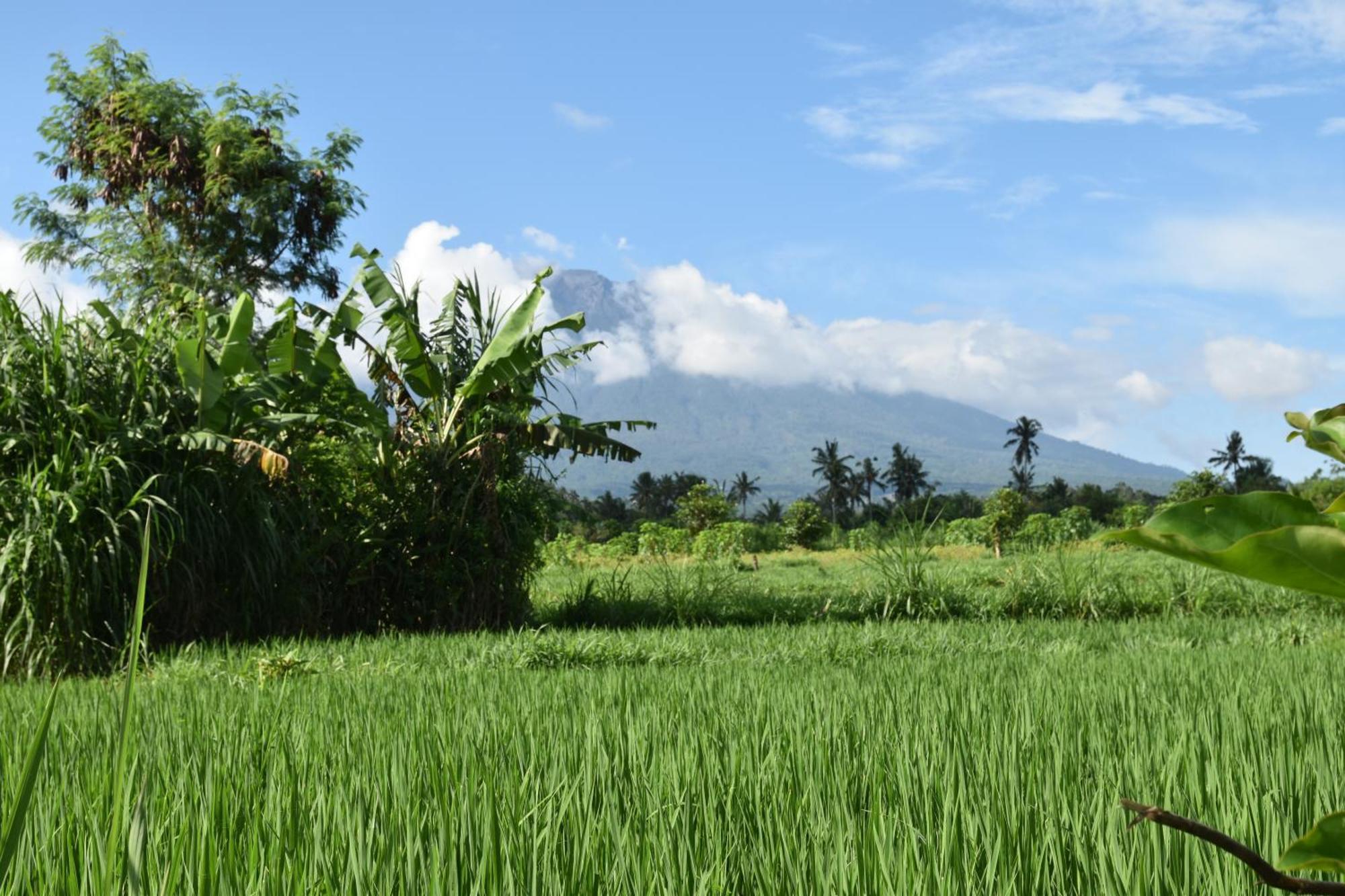 Villa Graha Ayoe Sidemen  Exterior foto