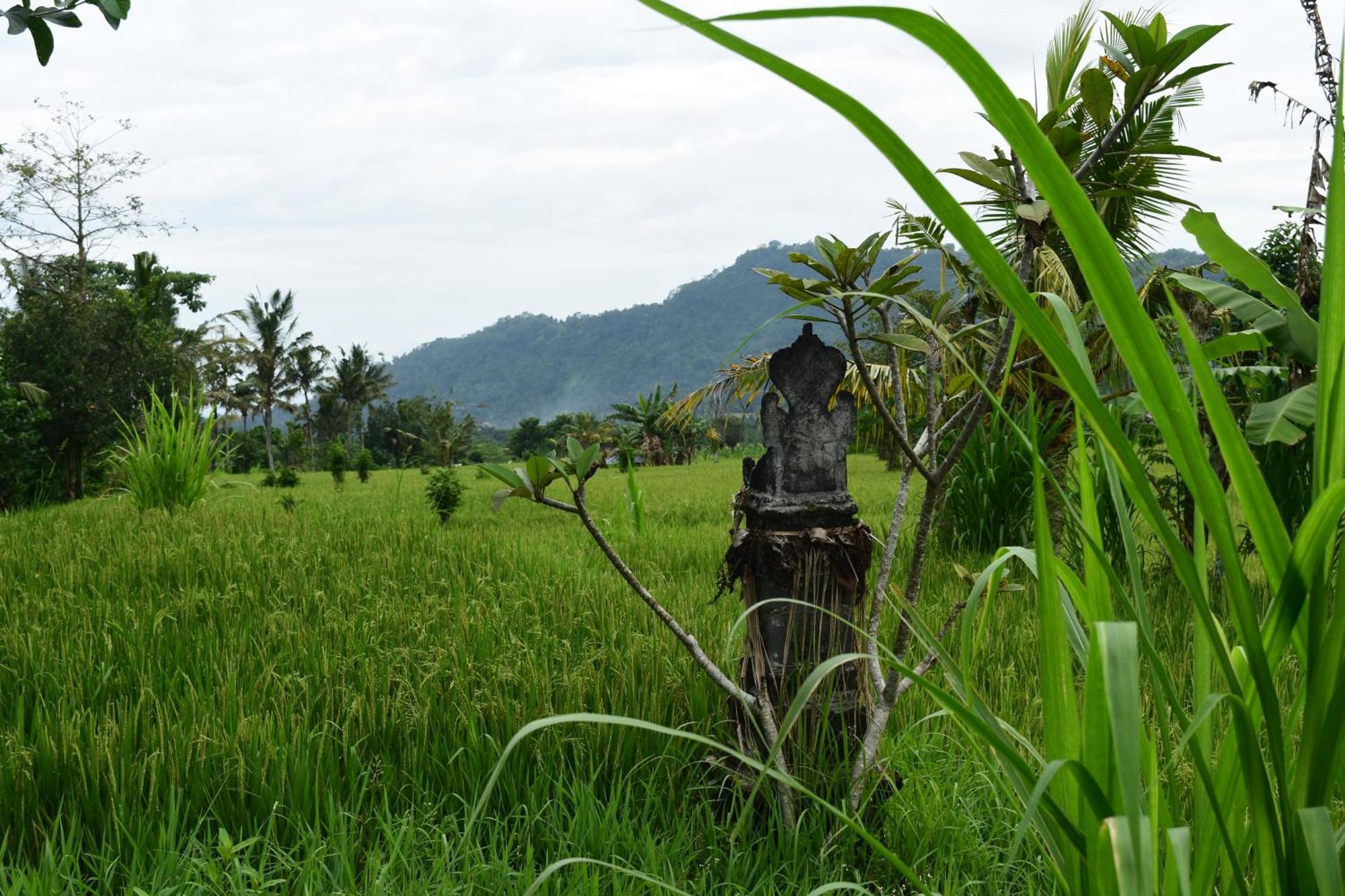 Villa Graha Ayoe Sidemen  Exterior foto