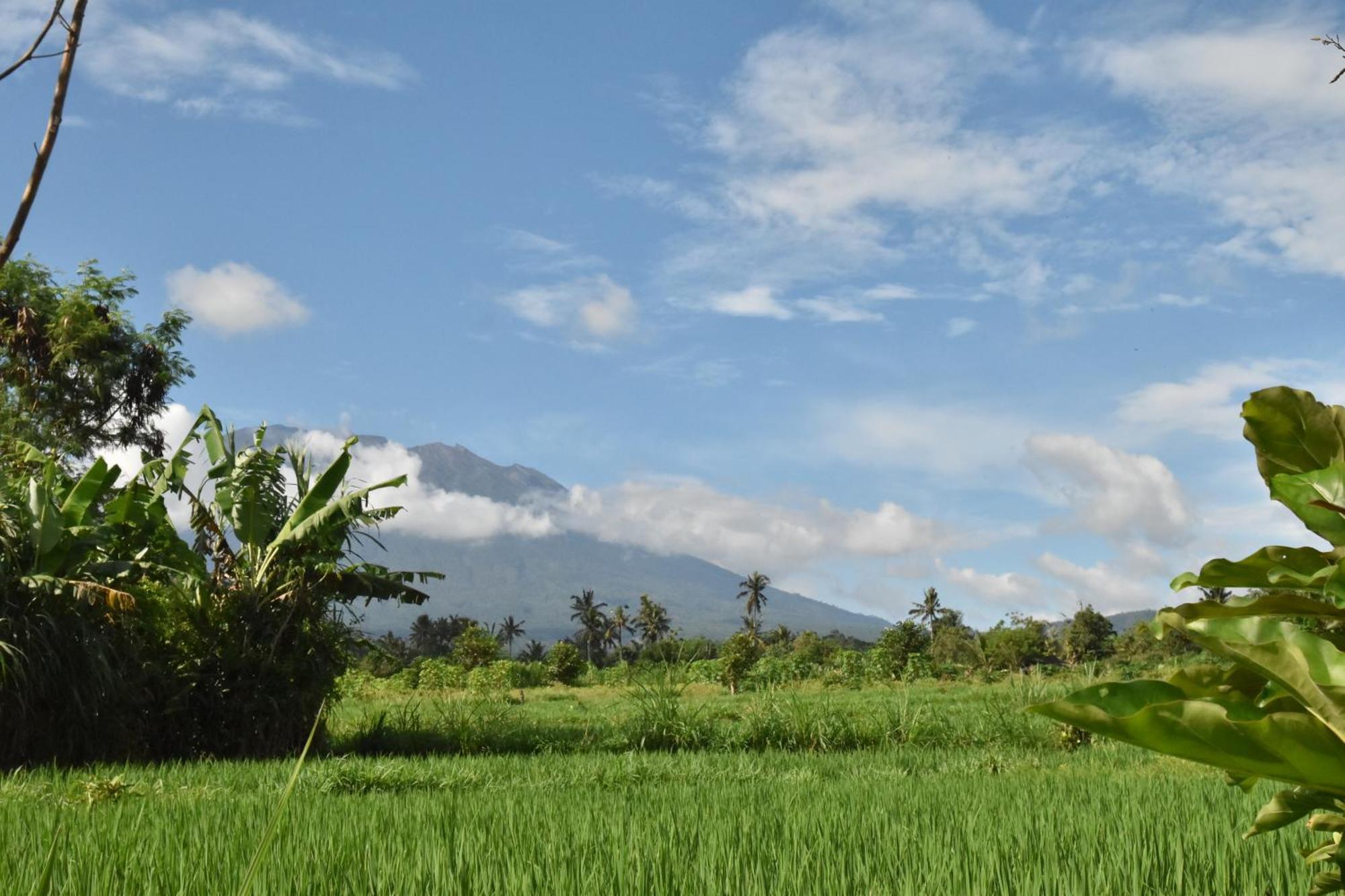 Villa Graha Ayoe Sidemen  Exterior foto