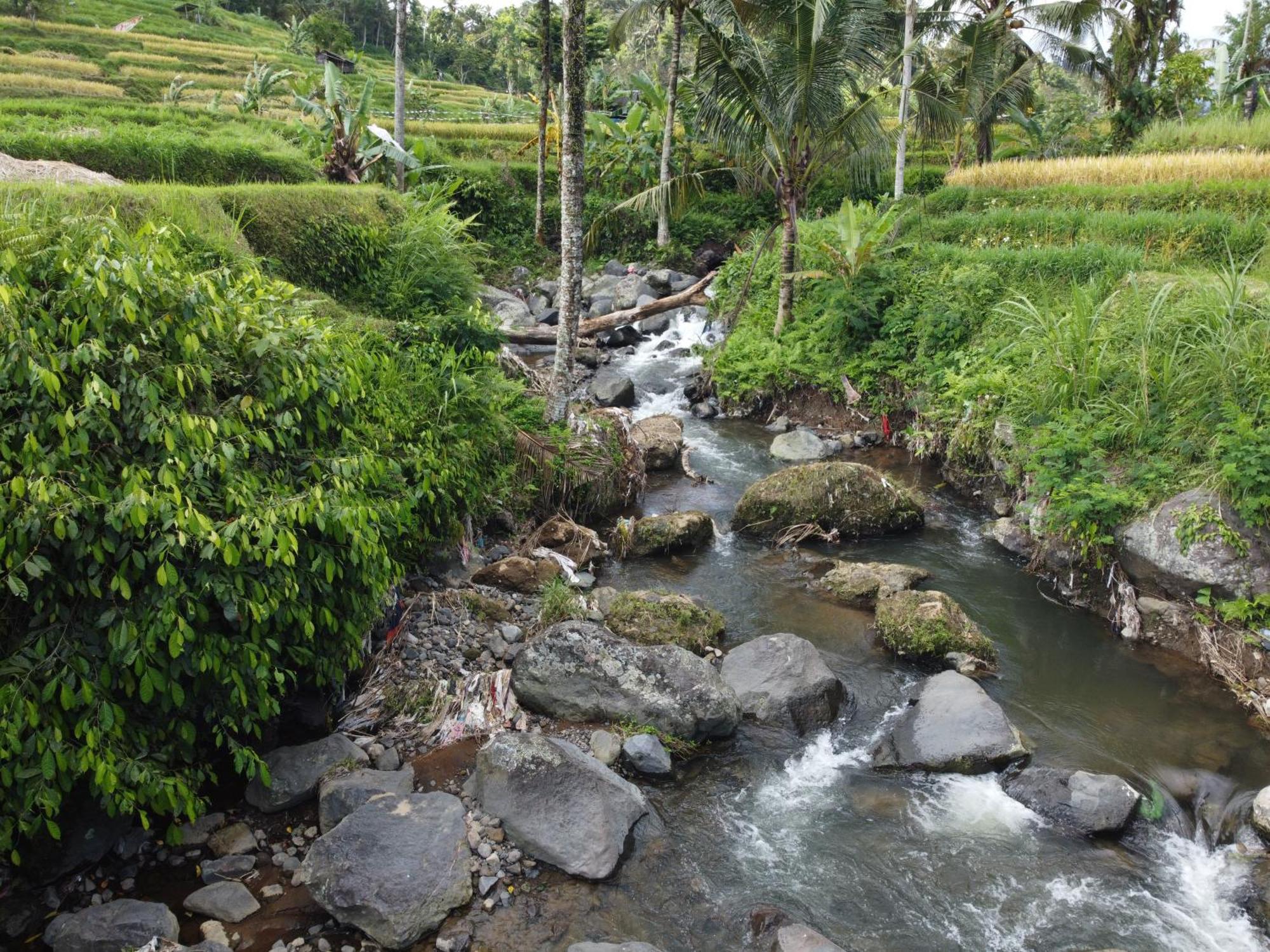 Villa Graha Ayoe Sidemen  Exterior foto